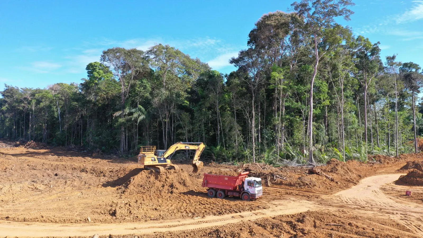 Escavadeira e caminhão basculante em frente de supressão, na borda da floresta